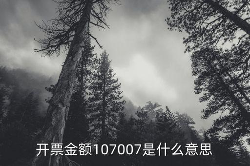 開票金額是什么意思，增值稅專用發(fā)票的各項(xiàng)金額分別是什么含義