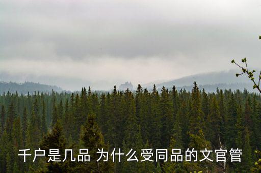 什么千戶集團，千戶是什么意思