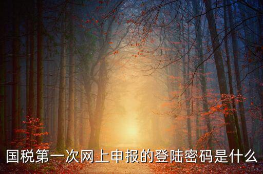 網(wǎng)上稅稅通密碼是什么，國(guó)稅第一次網(wǎng)上申報(bào)的登陸密碼是什么