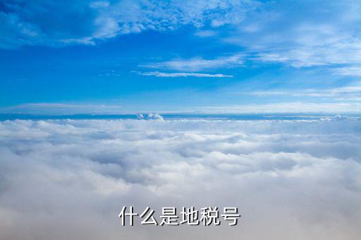 稅務(wù)賬號(hào)是什么，什么是地稅號(hào)
