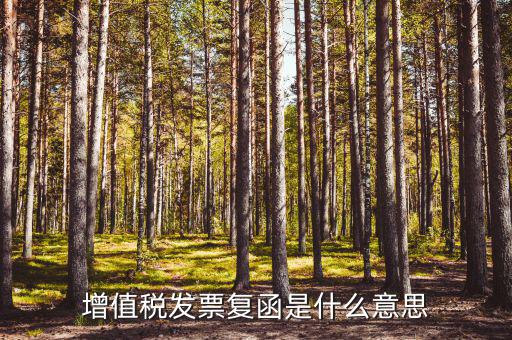 發(fā)票發(fā)函是什么意思，增值稅發(fā)票復(fù)函是什么意思