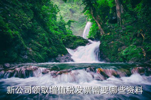 領(lǐng)發(fā)票需要什么，去稅務(wù)局領(lǐng)發(fā)票需要帶什么資料去