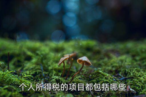 所得項(xiàng)目填什么，個(gè)人所得稅必須要填寫(xiě)六項(xiàng)嗎我沒(méi)一項(xiàng)符合