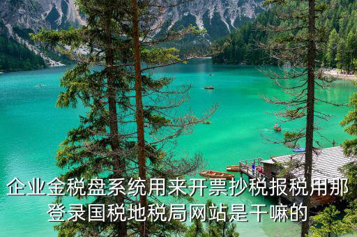 企業(yè)金稅盤系統(tǒng)用來(lái)開(kāi)票抄稅報(bào)稅用那登錄國(guó)稅地稅局網(wǎng)站是干嘛的