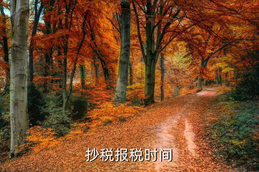 報(bào)稅廳抄報(bào)什么時(shí)候點(diǎn)，抄報(bào)稅的時(shí)間問題