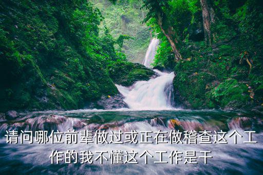 烏魯木齊稅務(wù)稽查是干什么的，稽核是一種什么樣的工作