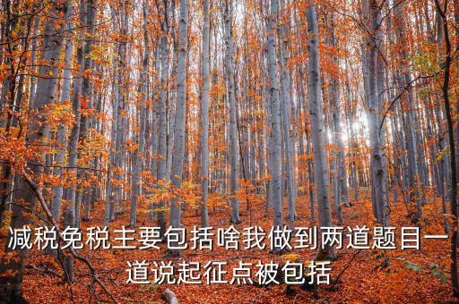 什么是減稅免稅，什么是稅收法定減免