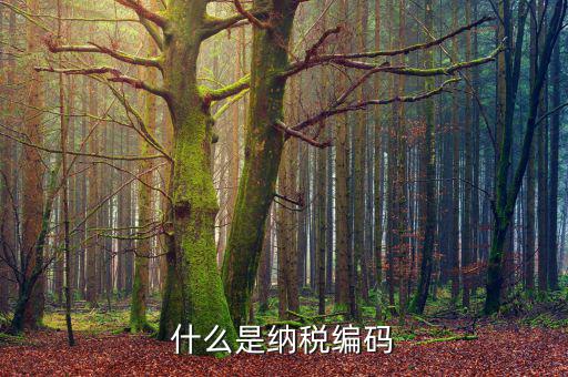 什么是納稅登記編碼，什么是納稅編碼