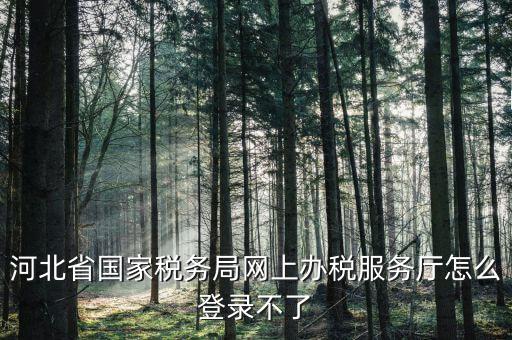 河北省國家稅務局網(wǎng)上辦稅服務廳怎么登錄不了