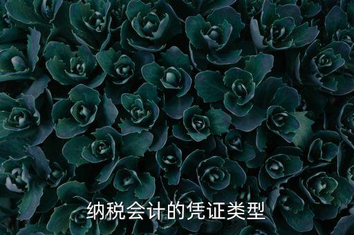 應(yīng)納稅憑證種類(lèi)是什么，憑證種類(lèi)999是什么