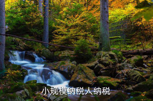 小規(guī)模以什么納稅，小規(guī)模納稅人納稅