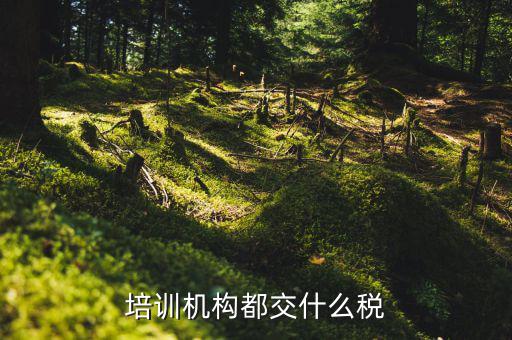 2017培訓(xùn)機(jī)構(gòu)交什么稅，培訓(xùn)機(jī)構(gòu)需要交稅的種類有多少