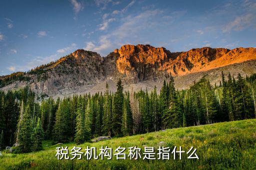 國(guó)稅局全稱(chēng)是什么，深圳龍華國(guó)稅的全稱(chēng)是什么謝謝