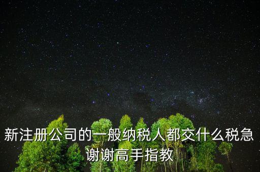 新注冊(cè)公司是什么納稅人，新辦企業(yè)是一般納稅人還是小規(guī)模納稅人