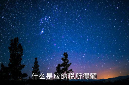 什么是應納稅所得額