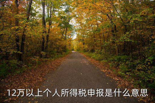 申報個稅什么意思，個稅明細(xì)申報是指什么
