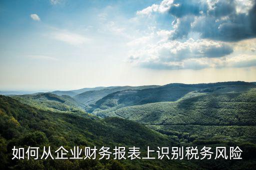 稅務風險核查是什么意思，虛開增值稅專用發(fā)票核查 什么意思