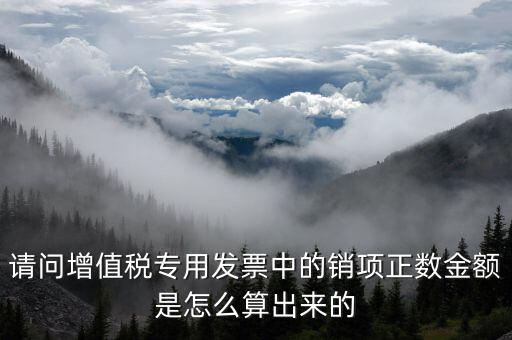 銷項(xiàng)正數(shù)金額是什么意思，銷項(xiàng)正數(shù)金額銷項(xiàng)負(fù)廢金額銷項(xiàng)負(fù)數(shù)金額是什么意
