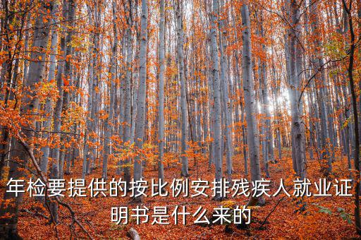 年檢要提供的按比例安排殘疾人就業(yè)證明書是什么來(lái)的