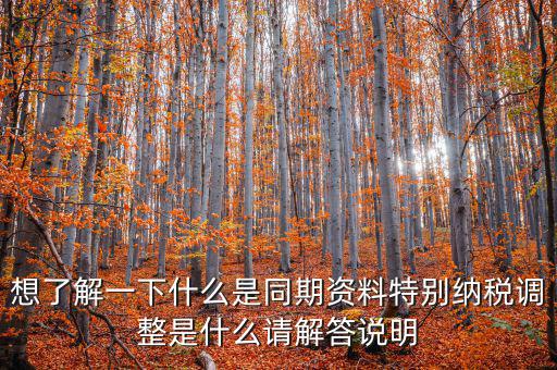什么是特別納稅調(diào)整監(jiān)控管理階段，想了解一下什么是同期資料特別納稅調(diào)整是什么請解答說明