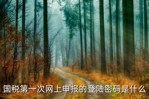 廣州國(guó)稅官網(wǎng)登錄密碼是什么，稅務(wù)局網(wǎng)站的登入賬戶初始密碼是什么