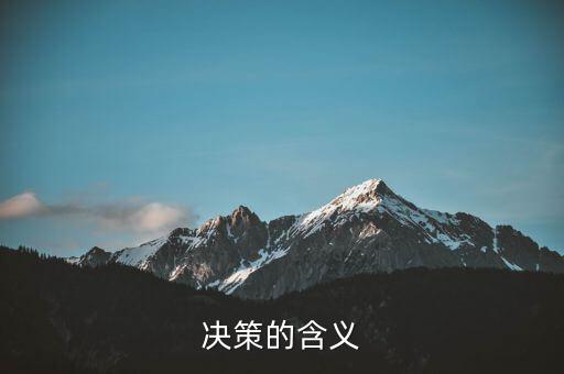 決策一包什么意思，決策的含義