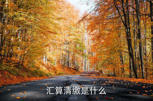 匯算清繳查賬都查什么，稅務(wù)局要對我司進行匯算清繳后的查帳包括費用帳成本帳往來帳