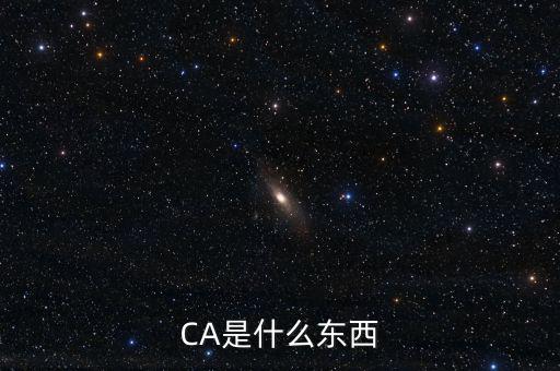 ca中心是什么，CA是什么東西