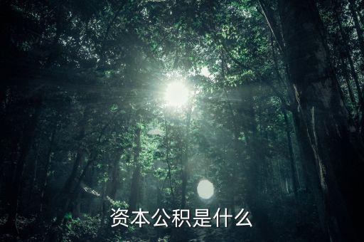 攜稅寶是什么，資本公積是什么