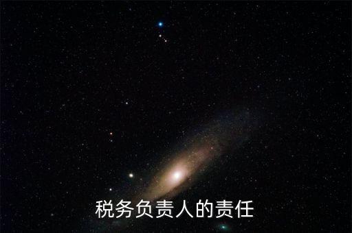稅務(wù)負責人的責任