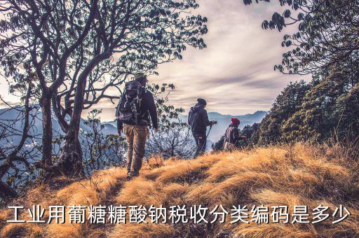 稅收分類編碼選擇錯誤的是什么，家用墻壁開關在稅收分類編碼里屬于哪類
