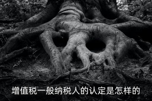 一般納稅人認(rèn)證是什么，一般納稅人資格證什么