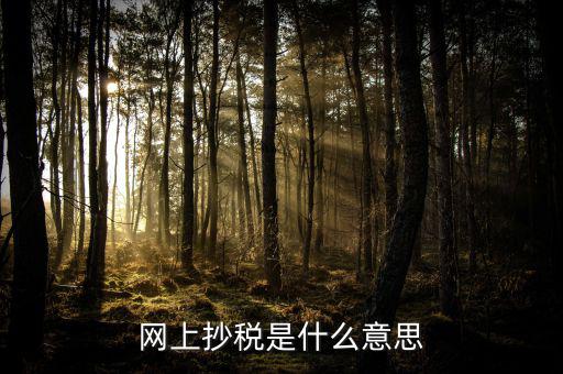 什么是網(wǎng)上抄報(bào)稅，抄稅和報(bào)稅是什么意思 應(yīng)該怎么做呢