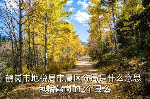 片區(qū)稅務(wù)分局是什么，陽宗海片區(qū)屬于哪個稅務(wù)局