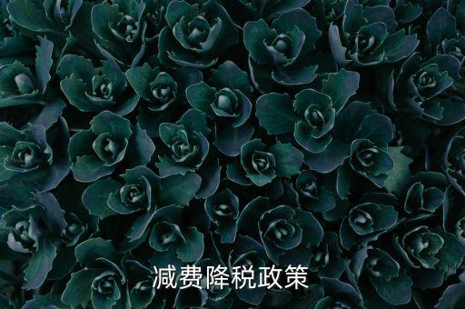 做好6項減稅政策的內(nèi)容是什么，減費降稅政策