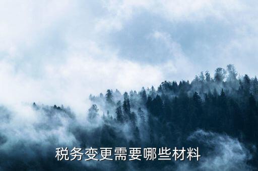 變更辦稅員要帶什么，財(cái)務(wù)負(fù)責(zé)人和辦稅員的變更需要辦理哪些手續(xù)