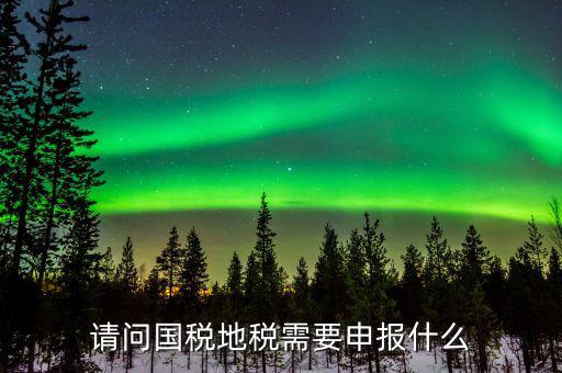 請(qǐng)問國稅地稅需要申報(bào)什么