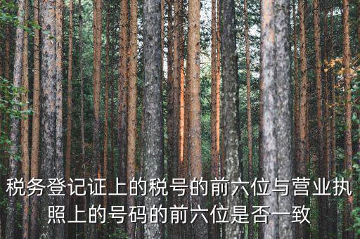 稅號前六位代表什么，納稅識別號前六位數(shù)為140111是什么意思