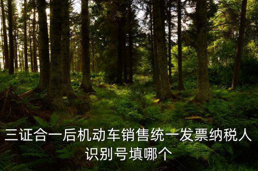 統(tǒng)一納稅識別號是什么，三證合一后機動車銷售統(tǒng)一發(fā)票納稅人識別號填哪個