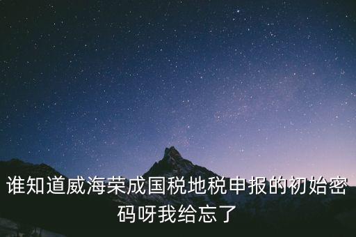 申報地稅的密碼是什么，徐州地稅網上申報的初始密碼是多少啊
