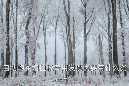 自助發(fā)票需要帶什么，自助購買增值稅發(fā)票需要身份證嗎