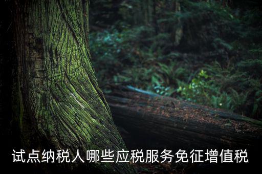 家政服務(wù)免增值稅什么業(yè)務(wù)免，家政服務(wù)企業(yè)的什么收入可以免征增值稅