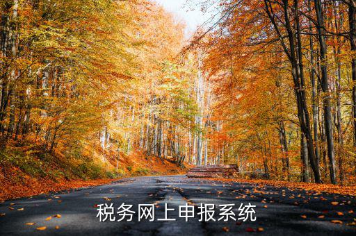 什么是稅收網(wǎng)報軟件，稅務網(wǎng)上申報系統(tǒng)