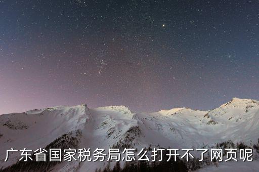 廣東省國家稅務局怎么打開不了網(wǎng)頁呢