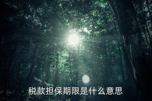 納稅擔(dān)保人什么意思，稅款擔(dān)保期限是什么意思