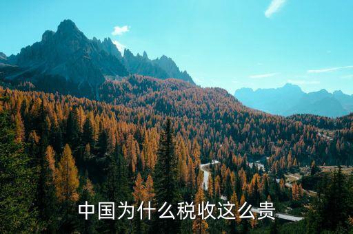 中國為什么靠稅收，中國為什么稅收這么貴
