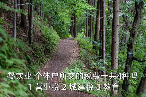 個(gè)體餐飲業(yè)交什么稅，餐飲業(yè) 個(gè)體戶(hù)所交的稅費(fèi)一共4種嗎 1 營(yíng)業(yè)稅 2 城建稅 3 教育