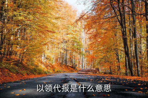 什么是以報(bào)代備，以備一板內(nèi)有重復(fù)者的備是什么意思
