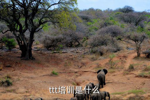 納稅人學堂培訓干什么，去各種培訓班做老師有前途么