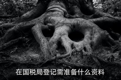 稅務登記備什么，在國稅局登記需準備什么資料